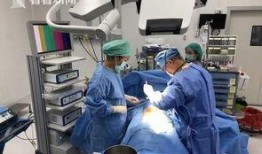 医生爆料结石视频播放,结石形成过程，警示健康生活